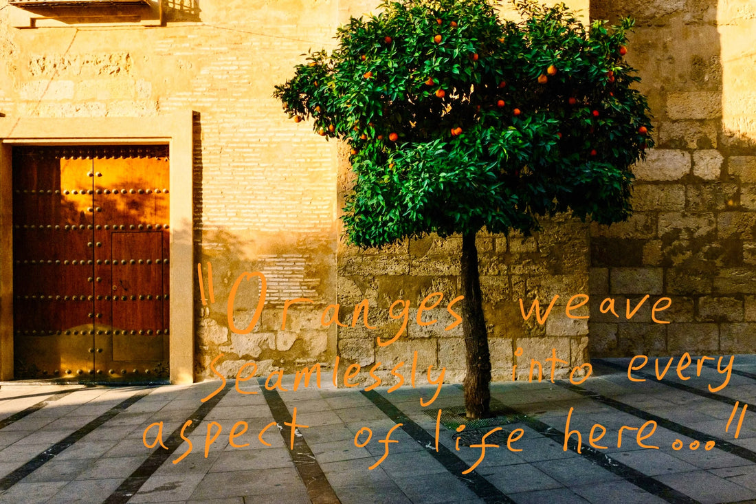 A 'bitter orange' tree with green leaves and bright orange Seville oranges protrudes from the pavement on the streets of Seville. Graffiti overlay featuring a quote from the article: "Oranges weave seamlessly into every aspect of life here..."