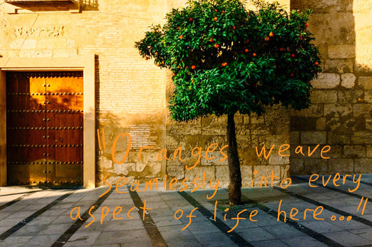 A 'bitter orange' tree with green leaves and bright orange Seville oranges protrudes from the pavement on the streets of Seville. Graffiti overlay featuring a quote from the article: "Oranges weave seamlessly into every aspect of life here..."