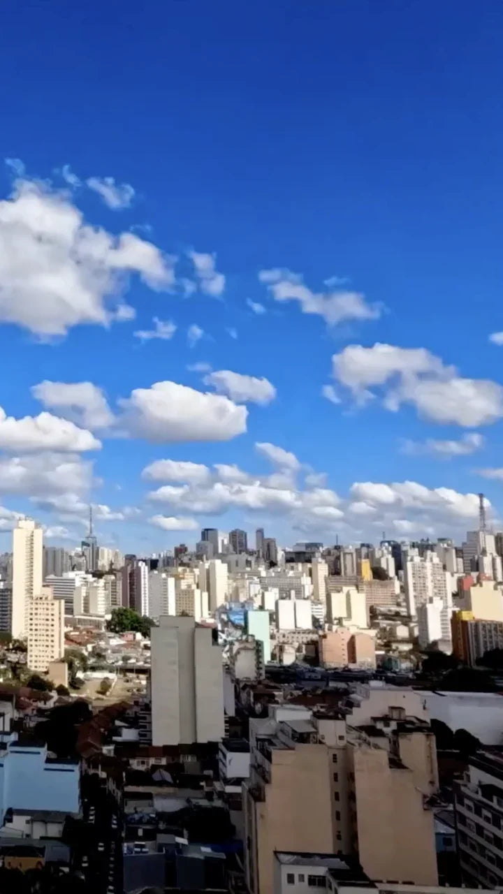 Web Story Poster for Why is São Paulo So Populated?
