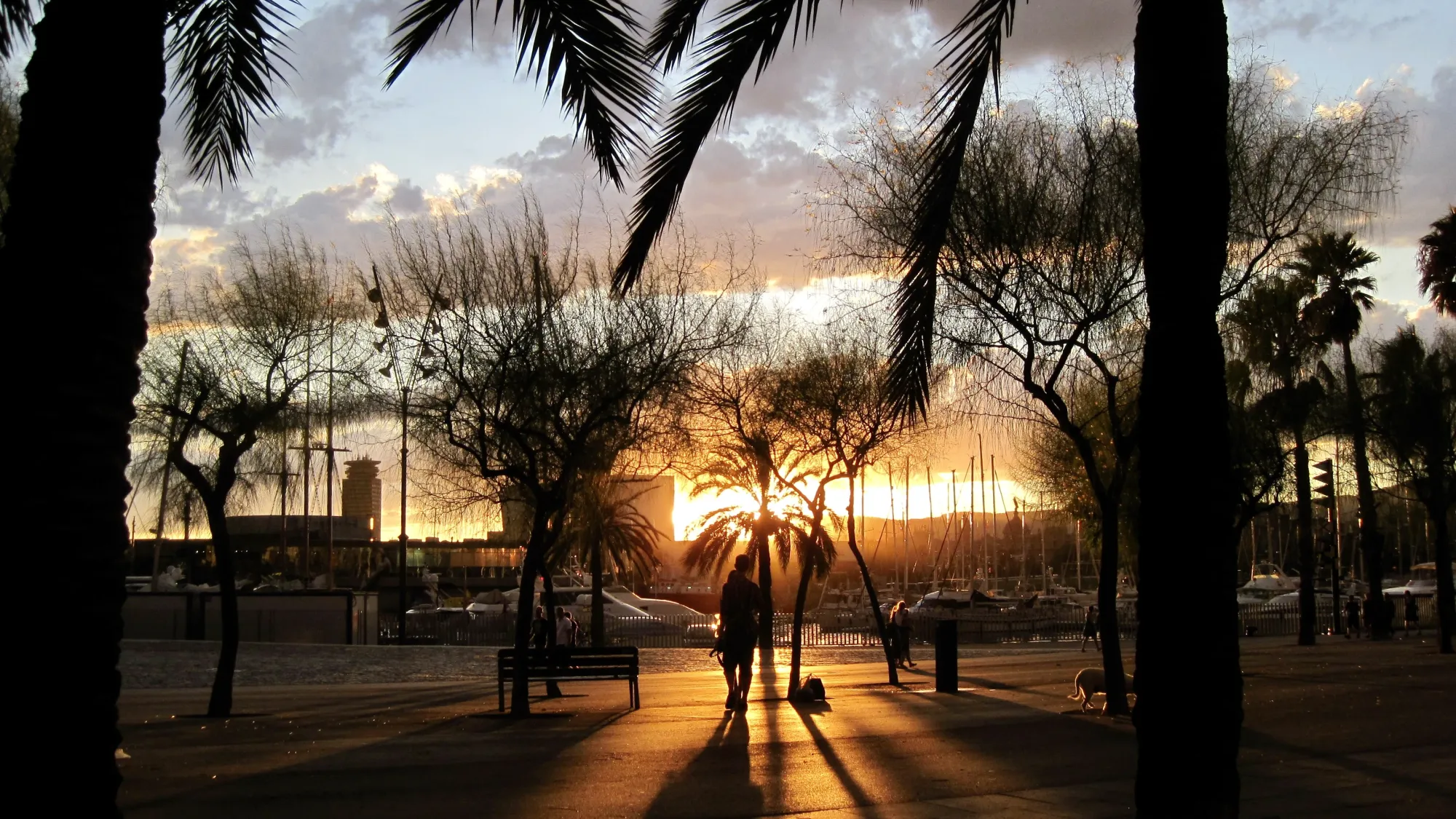A sunset in Barcelona, as the city prepares for its nightlife to come to life. Silhouettes of a person, some palm trees, a bench and some boats in the harbour can be seen, whilst the bright sunshine sets in the background