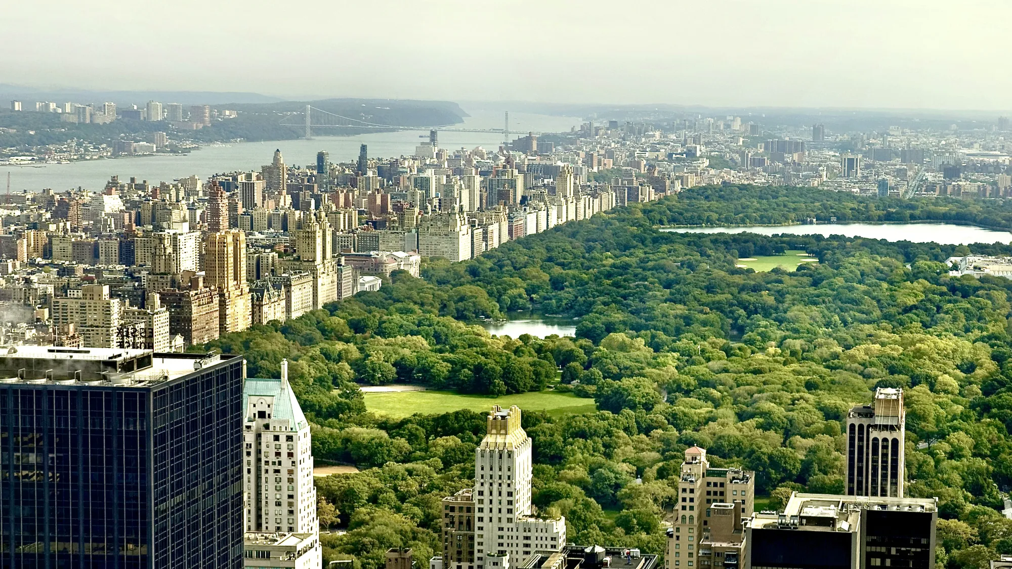 A view of New York City's Central Park taken from a tall building. The concrete and stone buildings form a crisp line against the green trees of the park