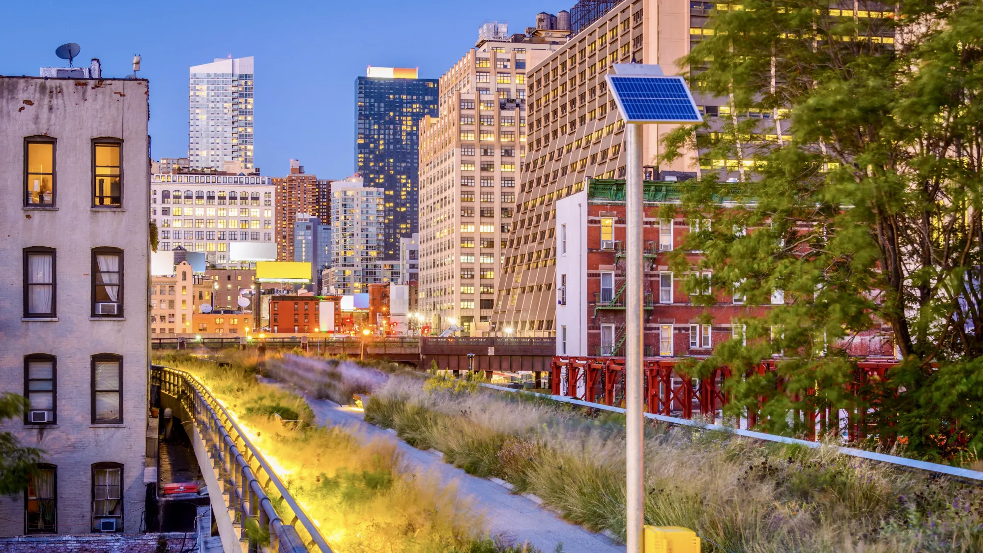 An area of New York City's 'High Line' elevated park. This section of the park has long grasses and a pathway. Surrounding the park are high-rise buildings