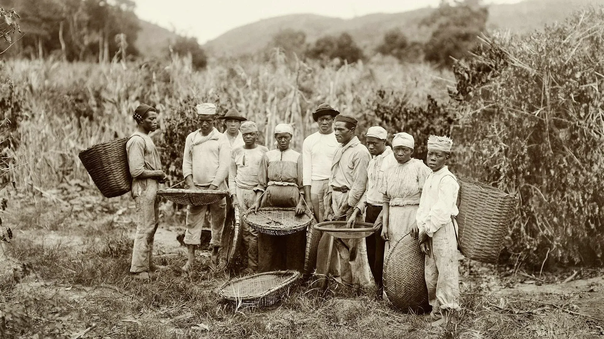 Early 1880s black & white photograph. Featured are a group of people of African descent. They are slaves preparing for a day of hard labour on a coffee plantation in São Paulo, Brazil.